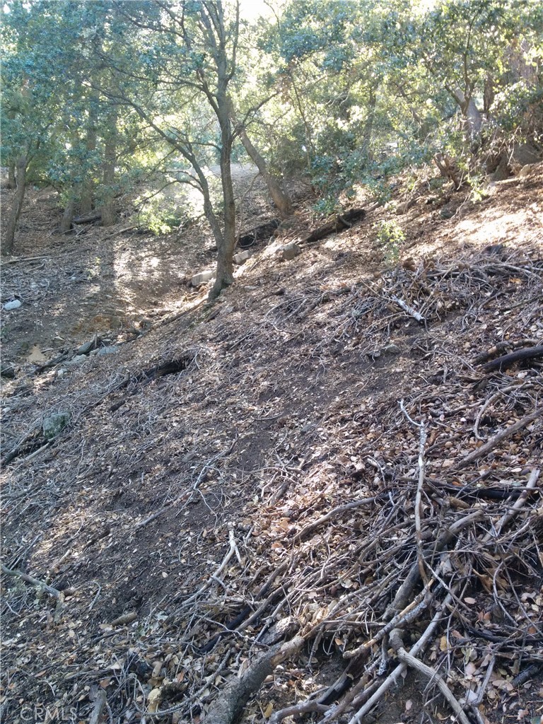 0 Chillion Drive Property Photo 6