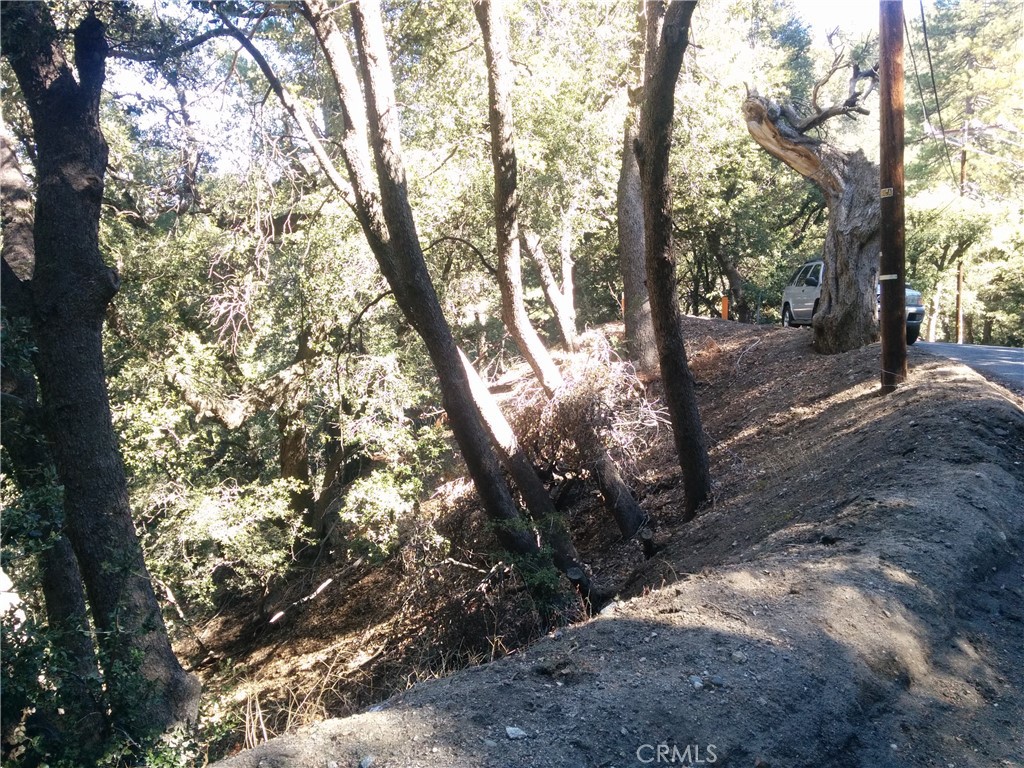 0 Chillion Drive Property Photo 8