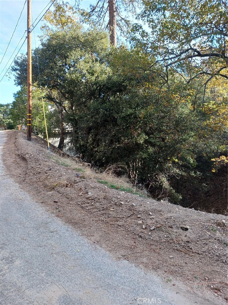 24764 Edelwiess Drive Property Photo 1