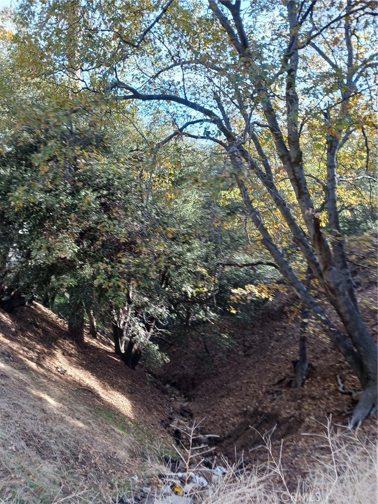 24764 Edelwiess Drive Property Photo 4