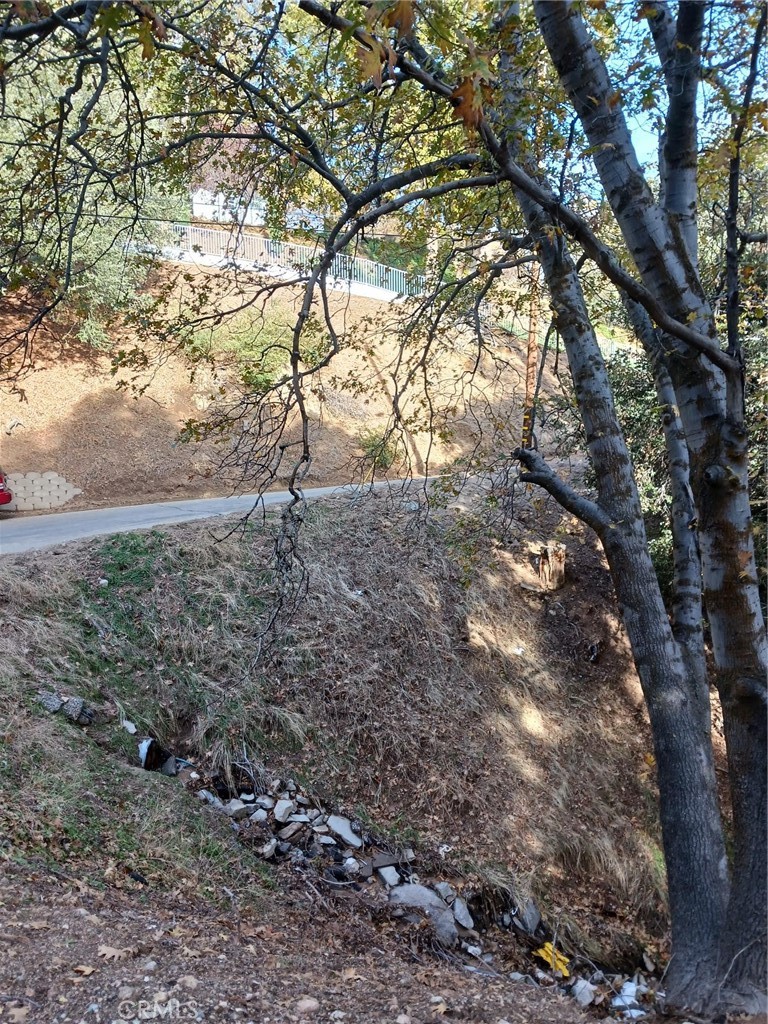 24764 Edelwiess Drive Property Photo 6