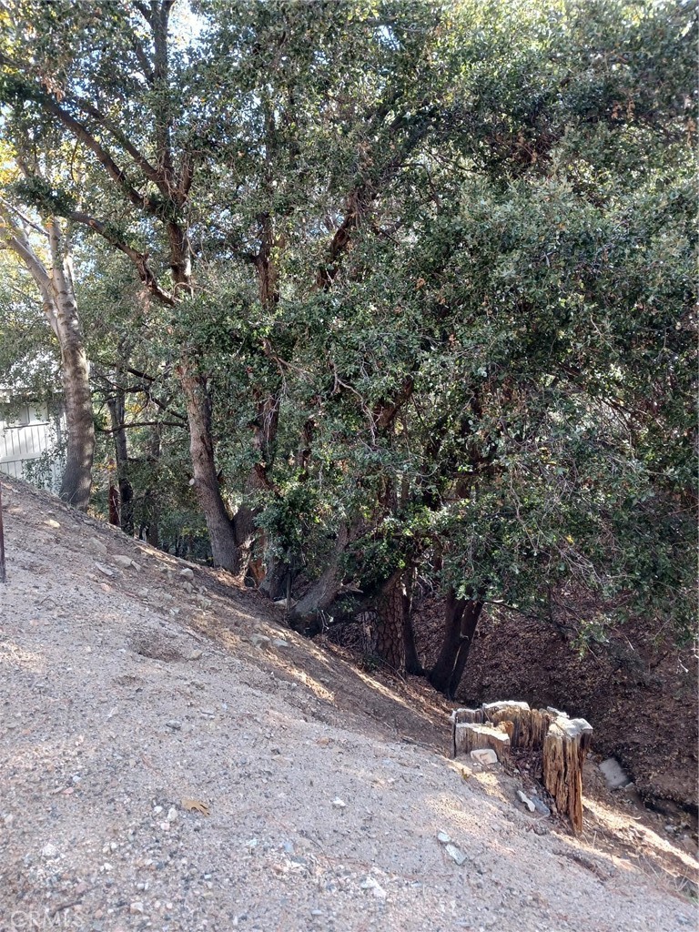 24764 Edelwiess Drive Property Photo 7