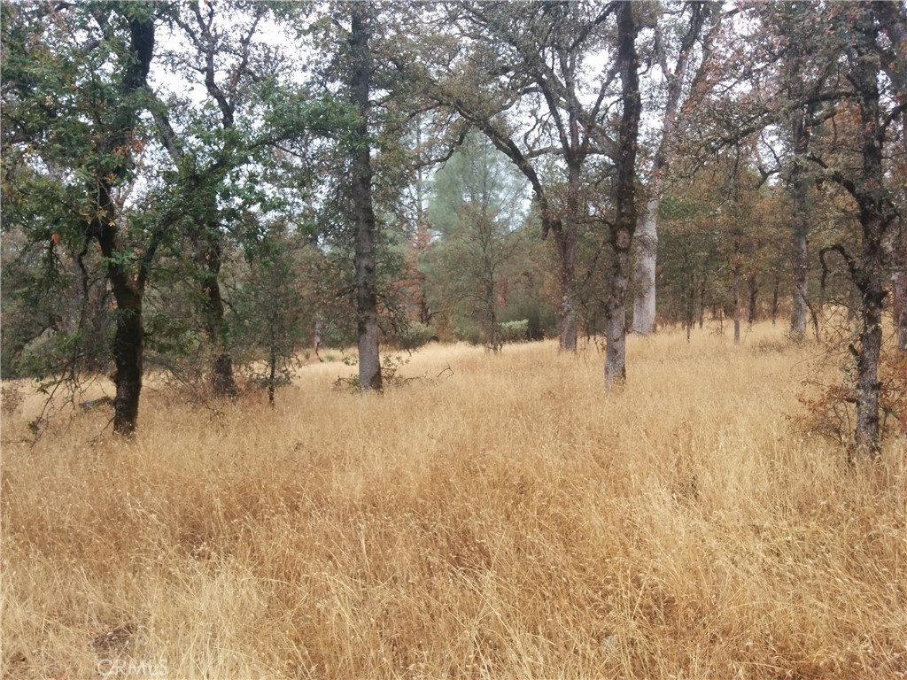 0 Donkey Mine Road Property Photo