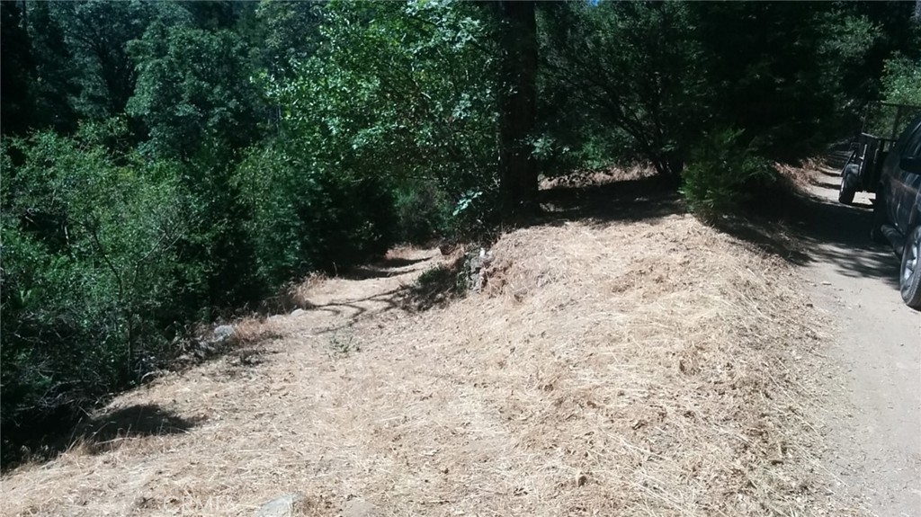 787 Burnt Property Photo 1