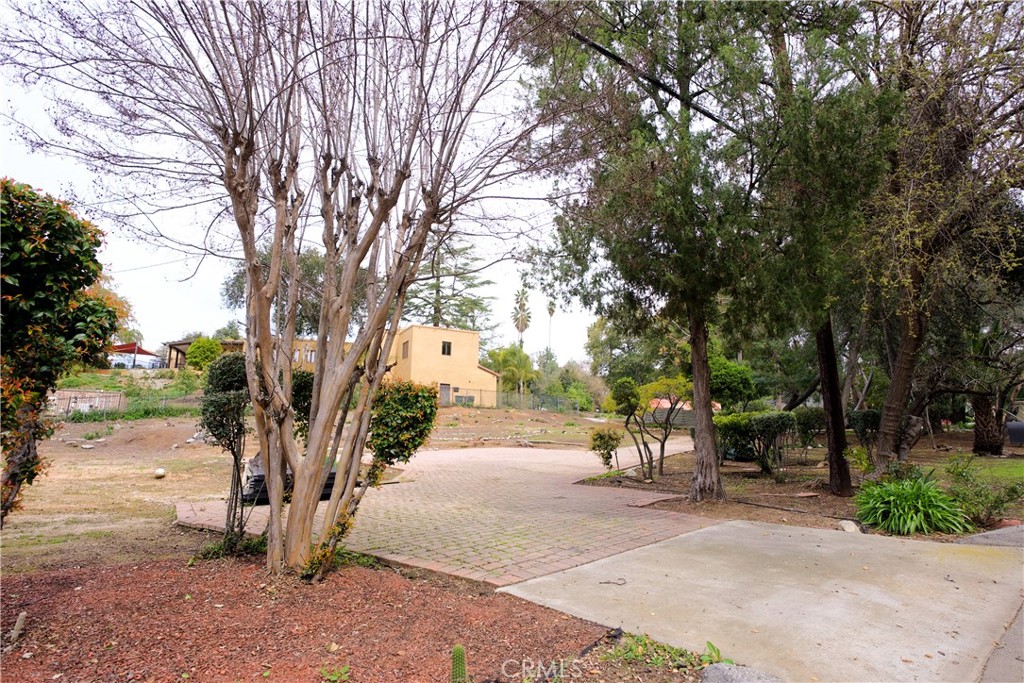 0 Garden Street Property Photo 4