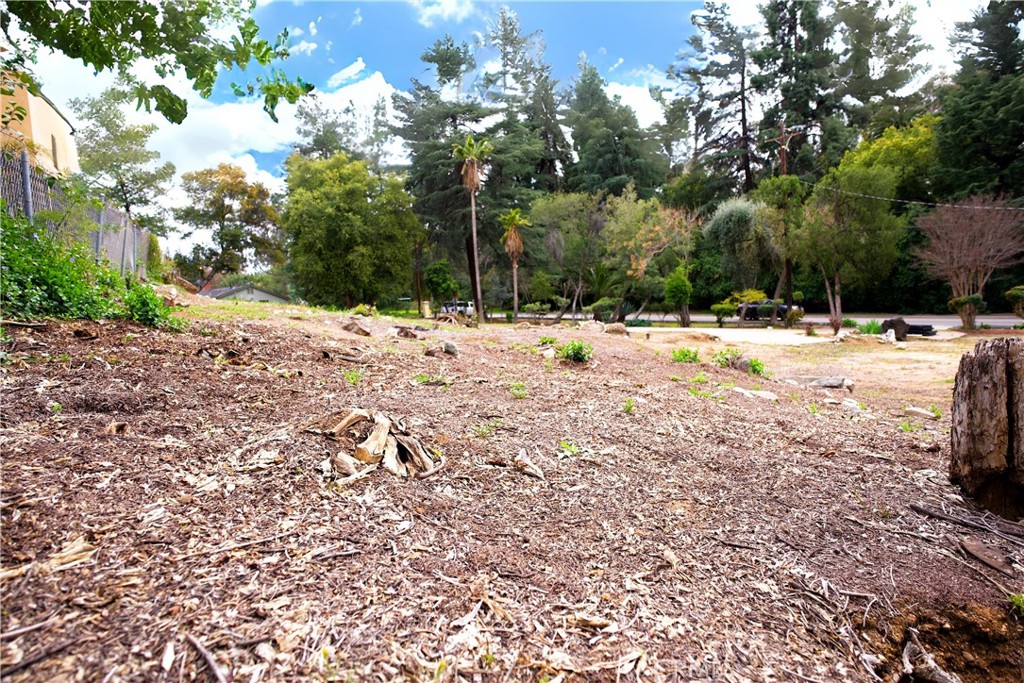 0 Garden Street Property Photo 7