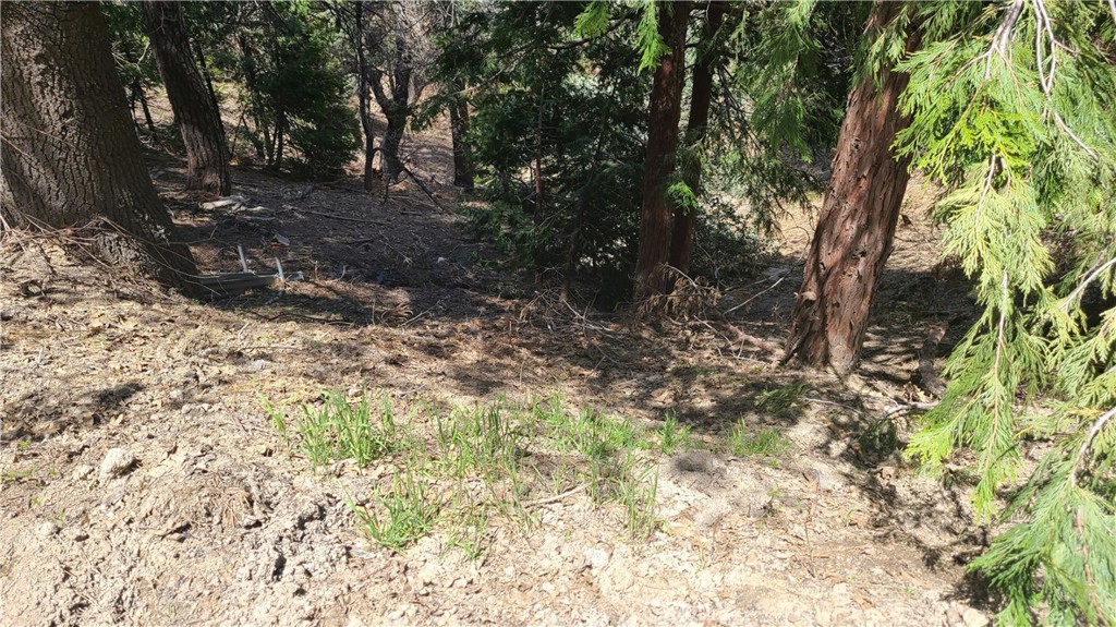 29186 Arrowhead Drive Property Photo 1