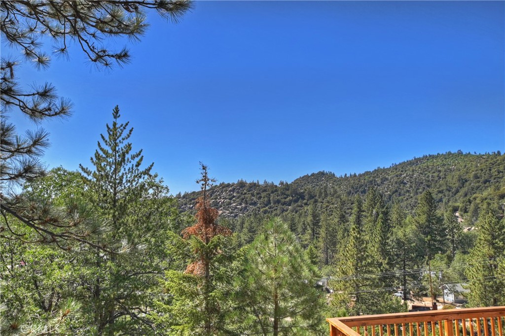 33026 Donner Lane Property Photo 6