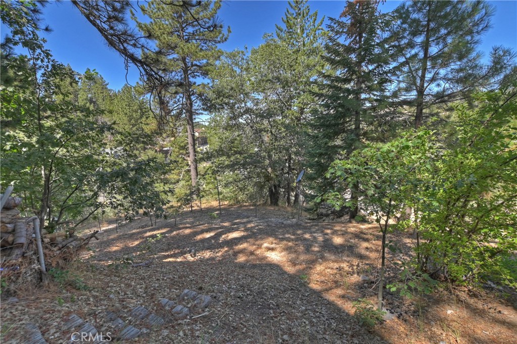 33026 Donner Lane Property Photo 20