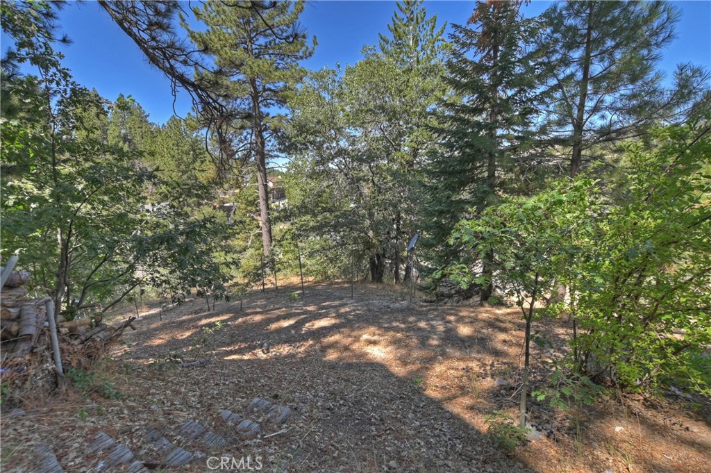 33026 Donner Lane Property Photo 21