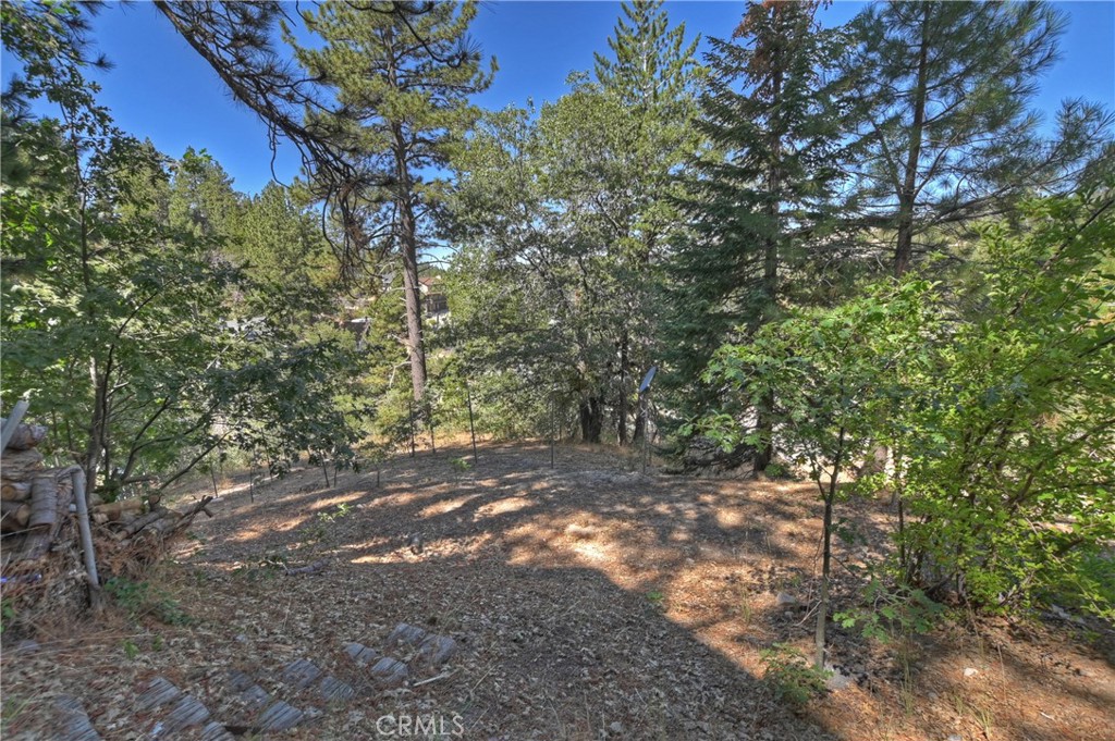33026 Donner Lane Property Photo 24