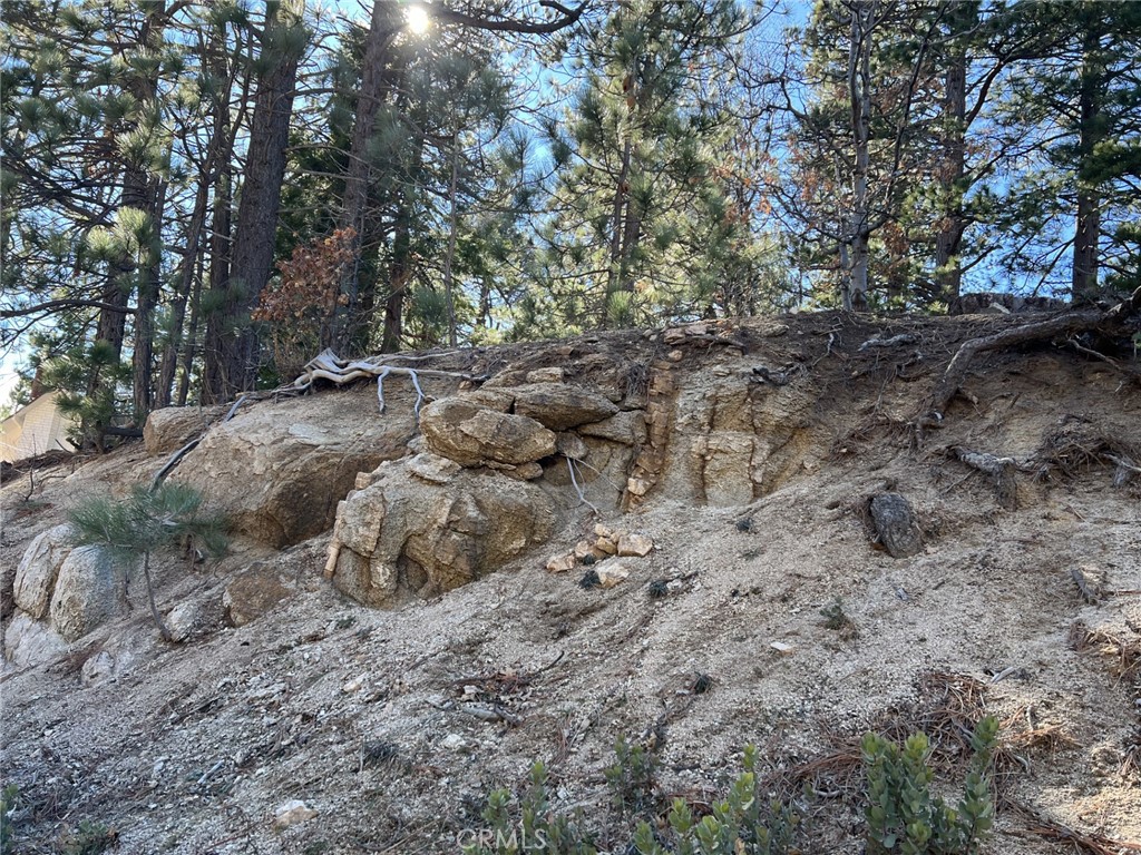 2686 Viking Property Photo 1