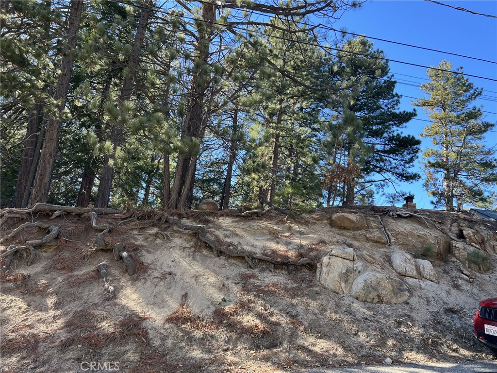 2686 Viking Property Photo 2