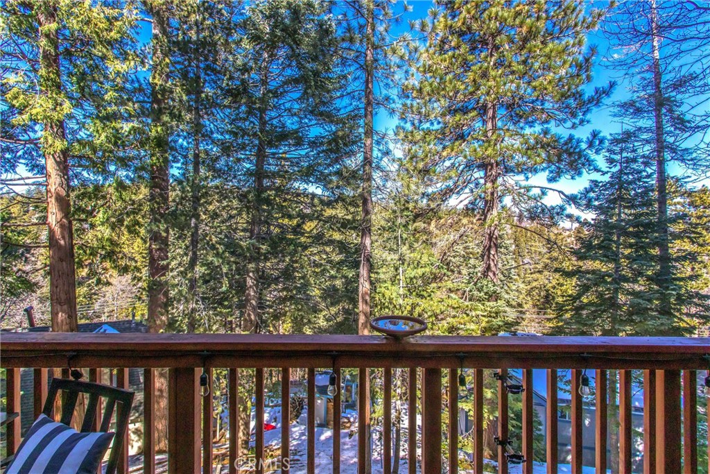 31690 Christmas Tree Property Photo 18