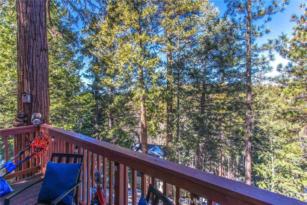 31690 Christmas Tree Property Photo 24