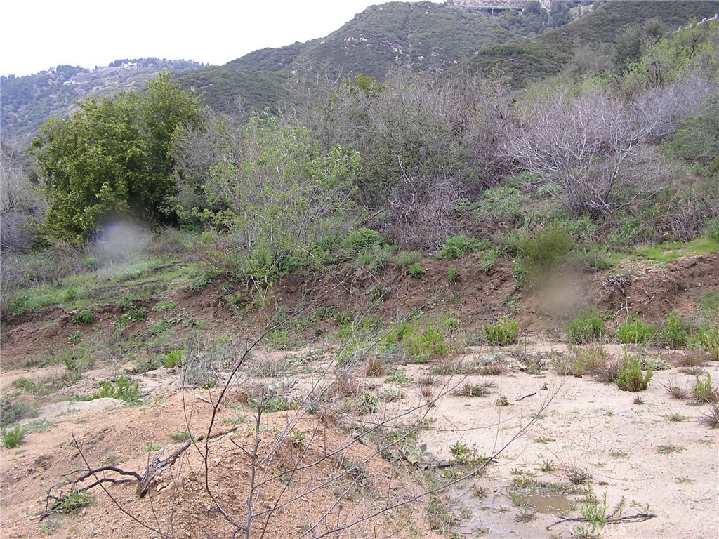 0 Hillview Road Property Photo 2