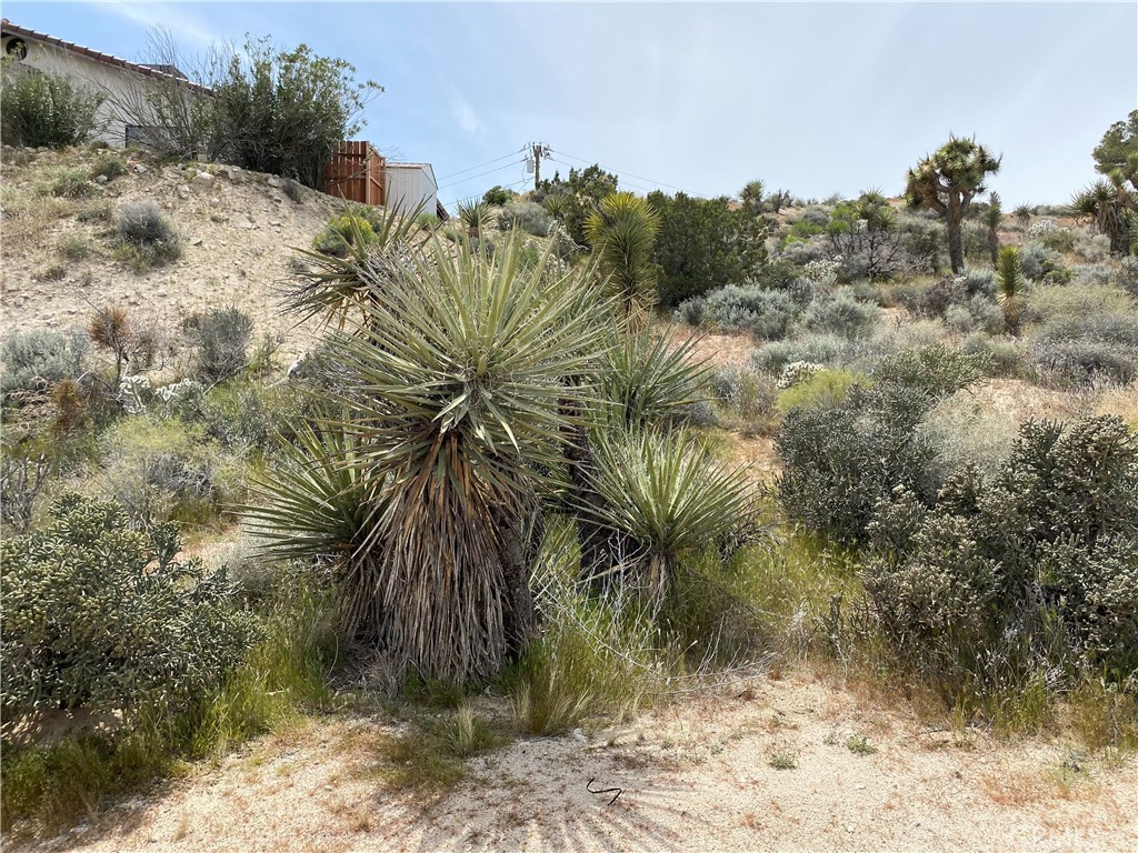 0 Farrelo Road Property Photo 2
