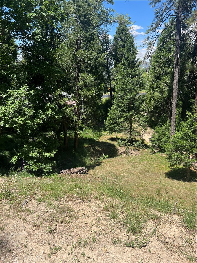 24580 Bernard Drive Property Photo 1