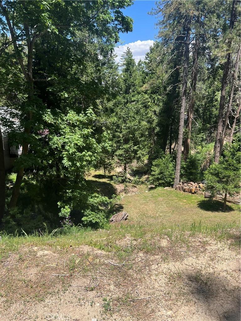 24580 Bernard Drive Property Photo 2