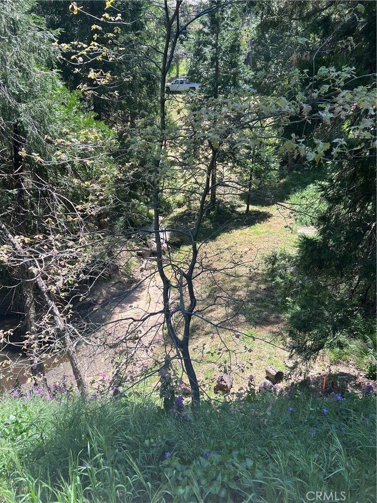24580 Bernard Drive Property Photo 5