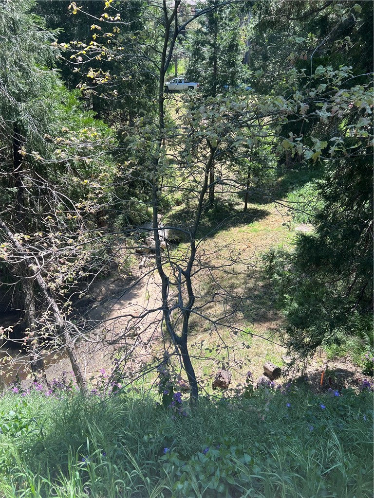 24580 Bernard Drive Property Photo 5