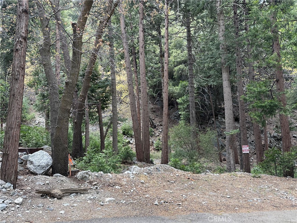 0 Canyon Drive Property Photo 2