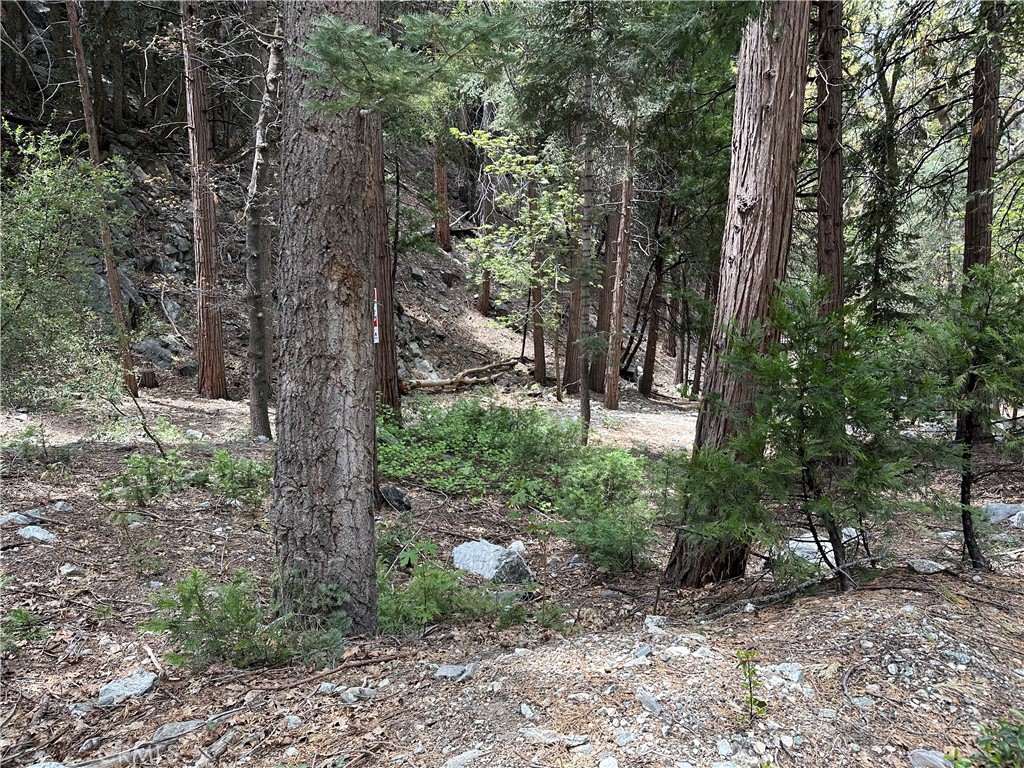 0 Canyon Drive Property Photo 3