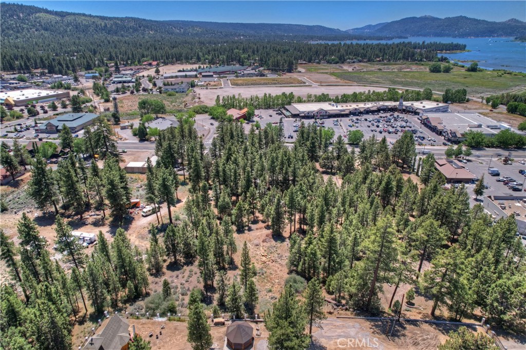 42165 Big Bear Boulevard Property Photo 12