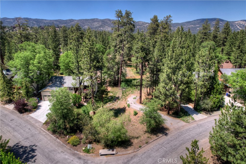 1239 Alpenweg Property Photo 1
