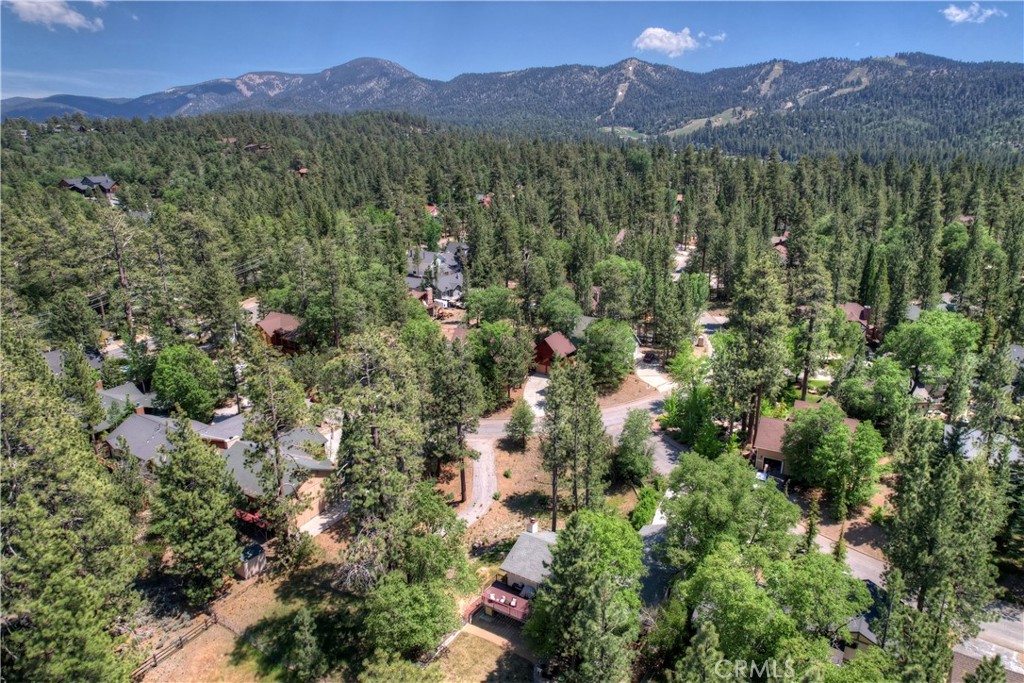 1239 Alpenweg Property Photo 4