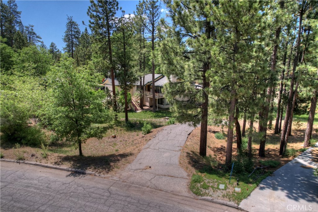 1239 Alpenweg Property Photo 6