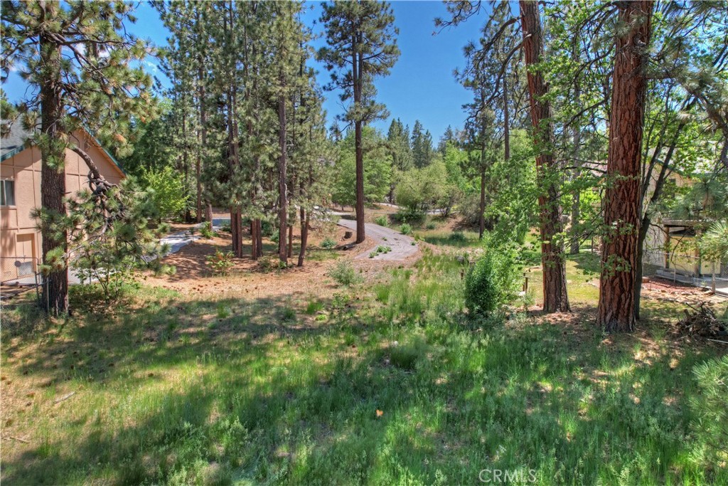 1239 Alpenweg Property Photo 10