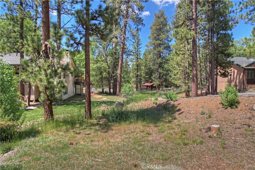 1239 Alpenweg Property Photo 11