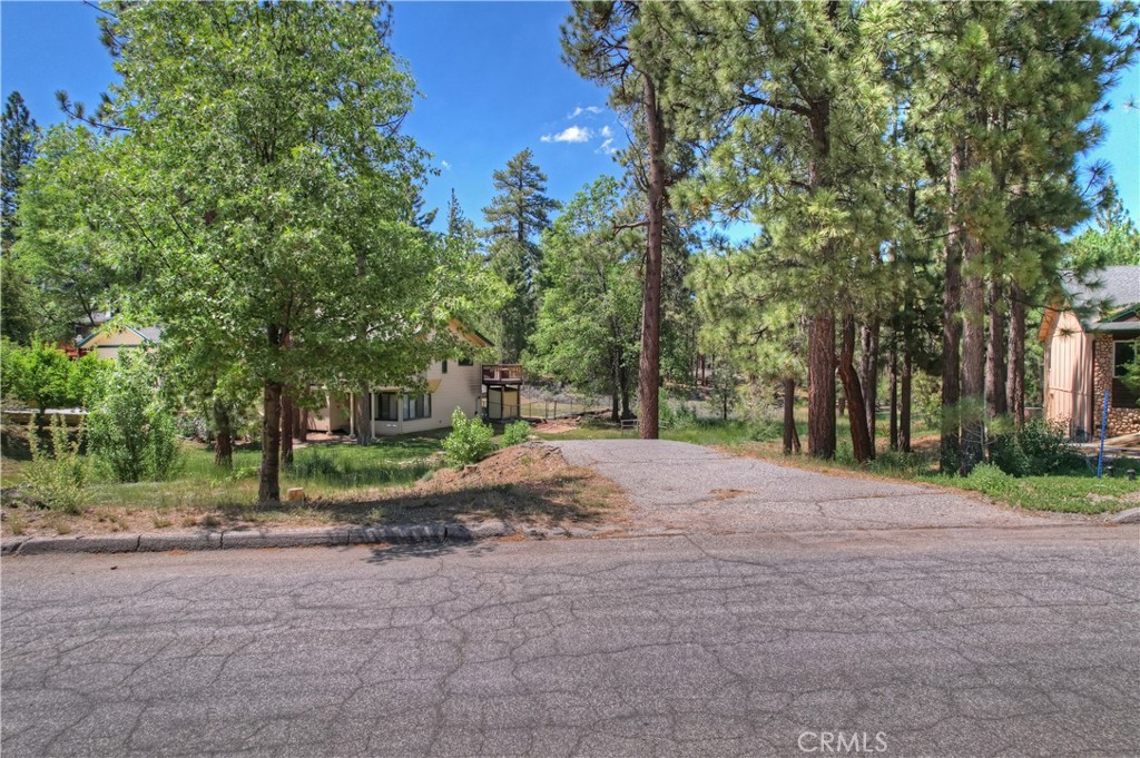 1239 Alpenweg Property Photo 12