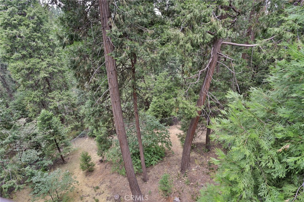 24048 Altdorf Drive Property Photo 56