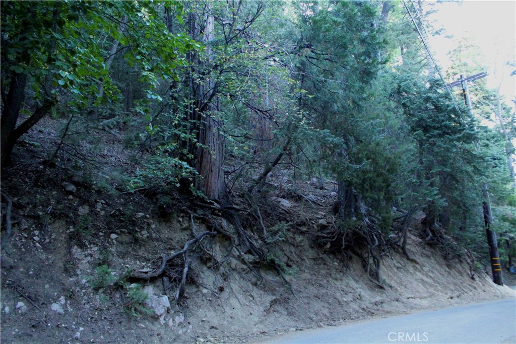0 Community Property Photo 1