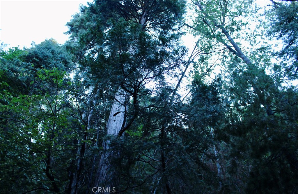 0 Community Property Photo 3