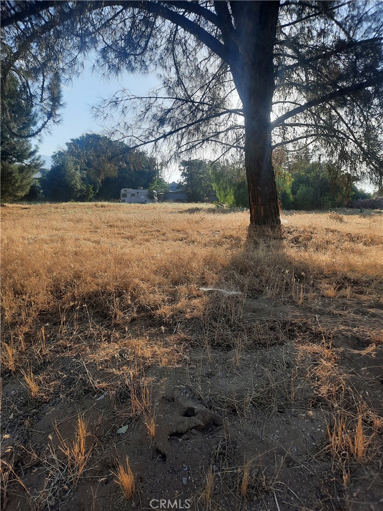 0 Bonita Drive Property Photo