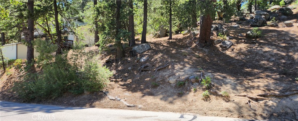 32311 Fern Drive Property Photo 2