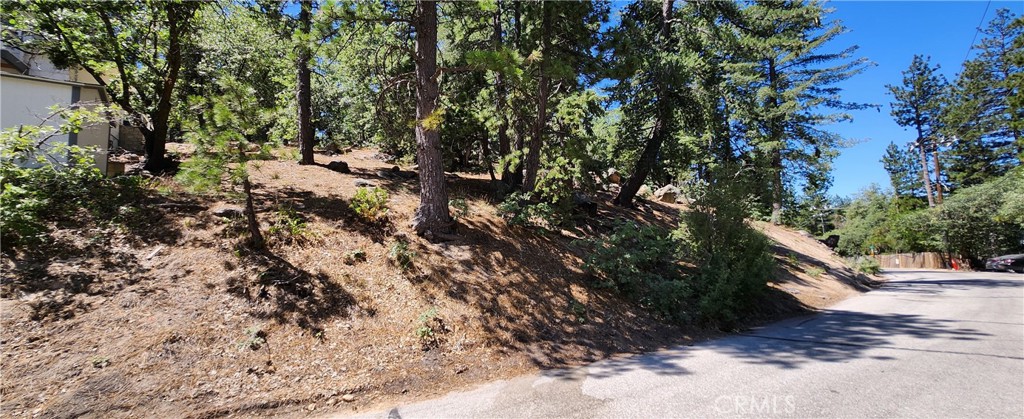 32311 Fern Drive Property Photo 3