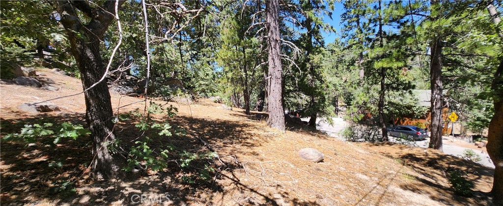 32311 Fern Drive Property Photo 4
