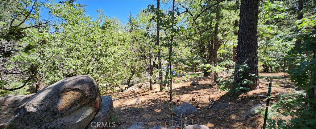 32311 Fern Drive Property Photo 6