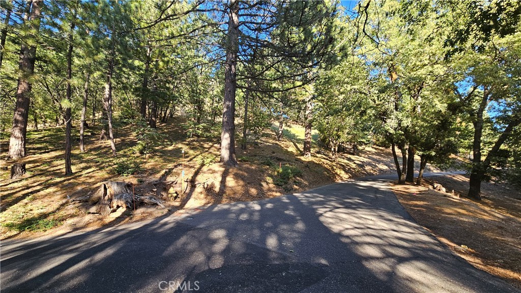 93 Park Drive Property Photo 10