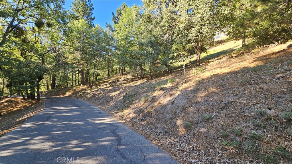93 Park Drive Property Photo 12