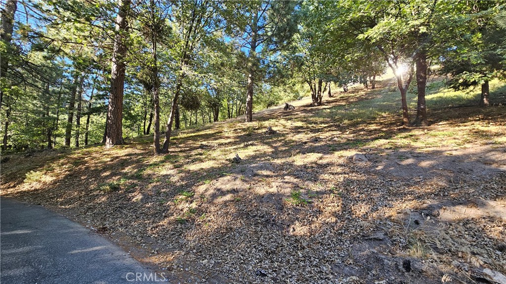 93 Park Drive Property Photo 15
