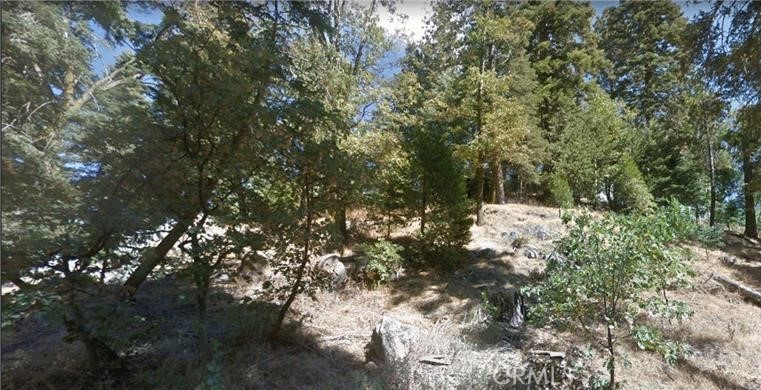 0 Fir Street Property Photo 2