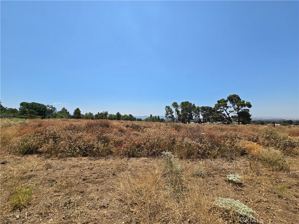 9575 Oak Glen Road Property Photo 3