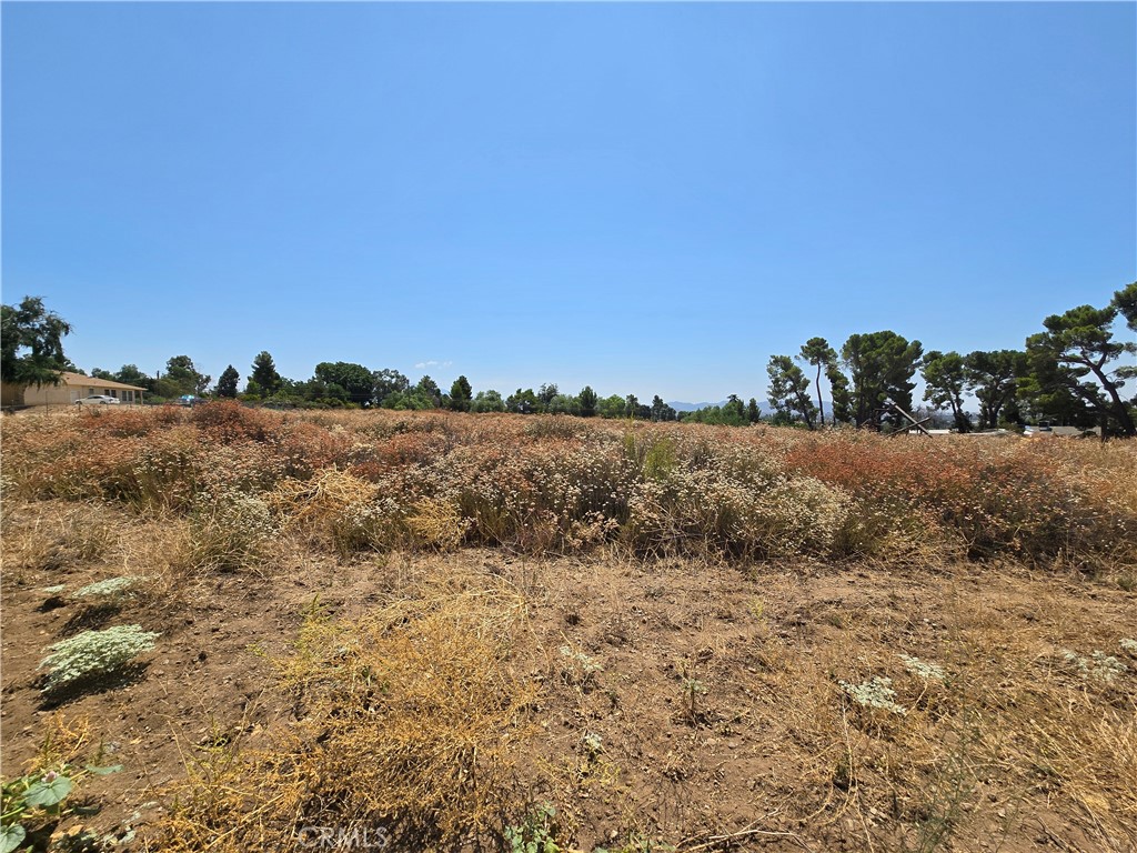 9575 Oak Glen Road Property Photo 6