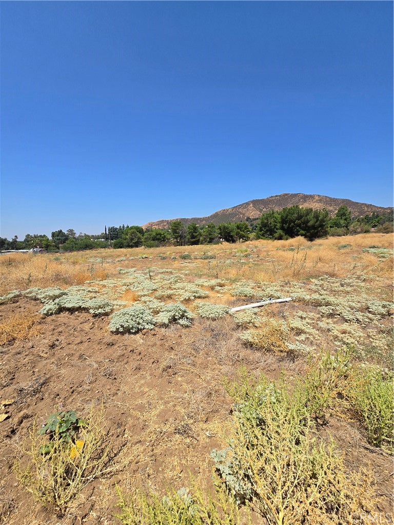 9575 Oak Glen Road Property Photo 7