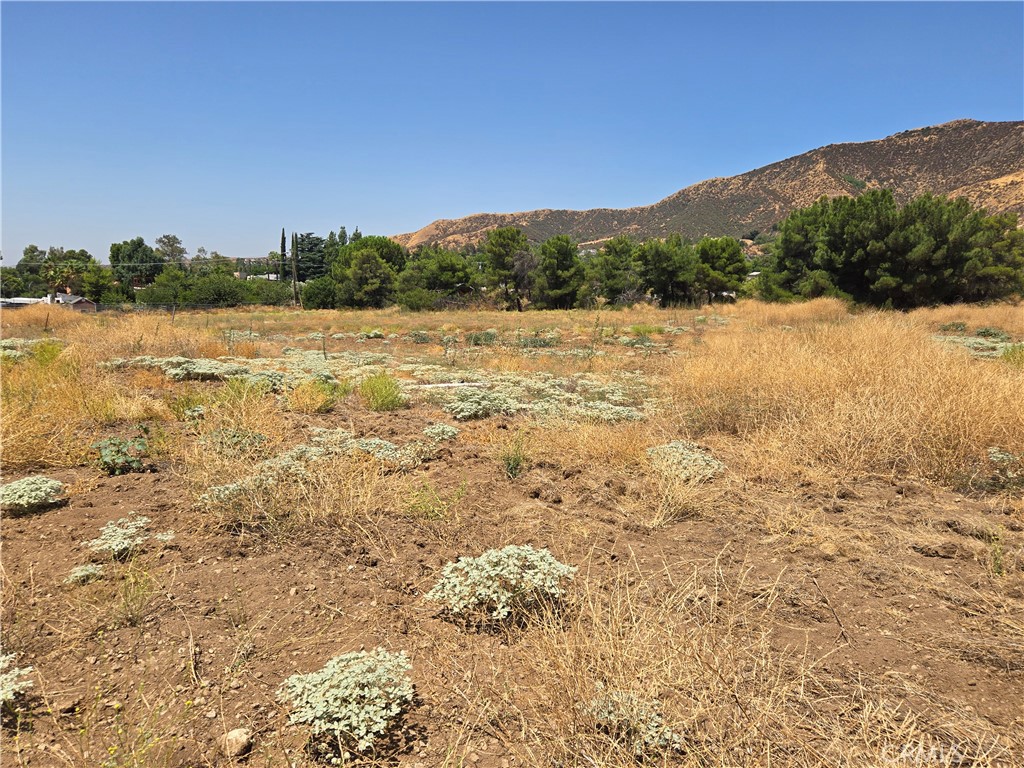 9575 Oak Glen Road Property Photo 9